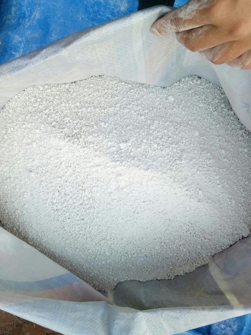 自家公婆种植红薯淀粉，