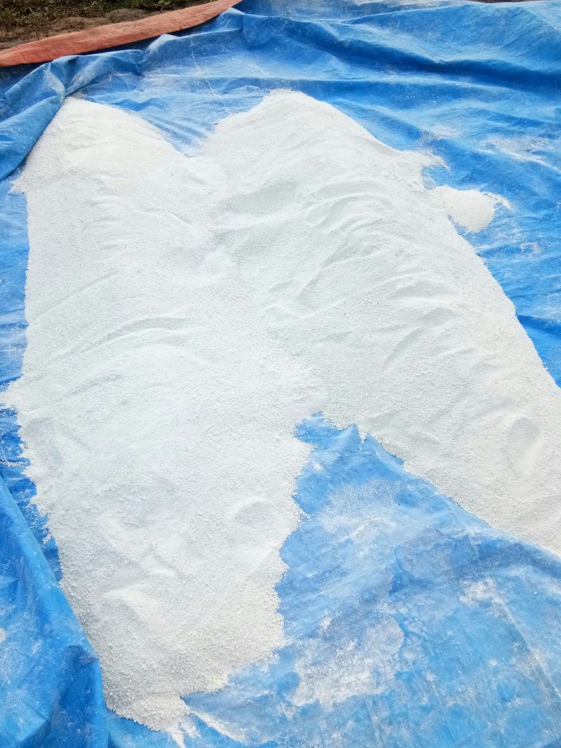 自家公婆种植红薯淀粉，