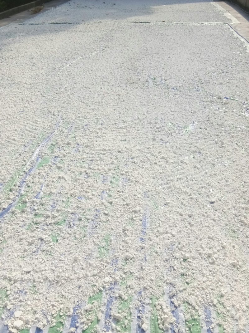 自家公婆种植红薯淀粉，