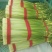 蒜薹精品60~70cm，无泡水，