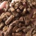 蒲公英根茶长白山蒲公英