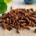 蒲公英根茶长白山蒲公英
