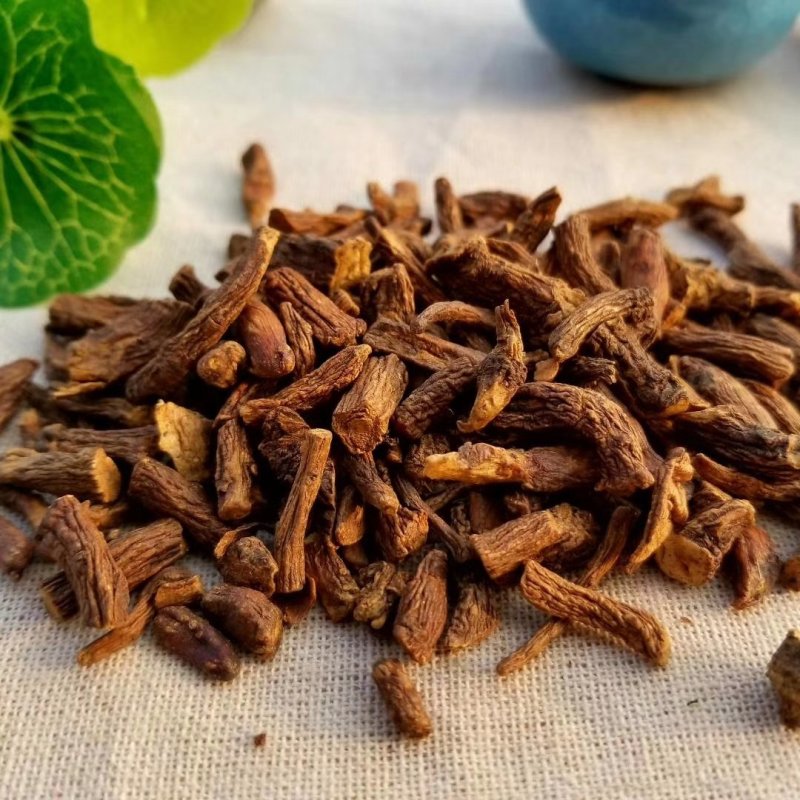 蒲公英根茶长白山蒲公英