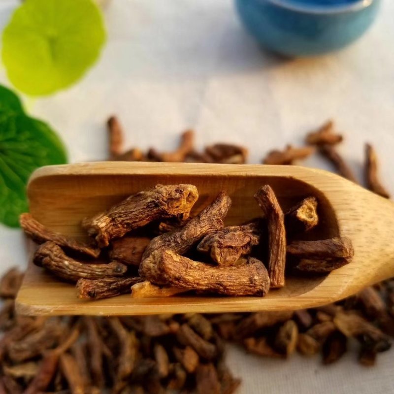 蒲公英根茶长白山蒲公英