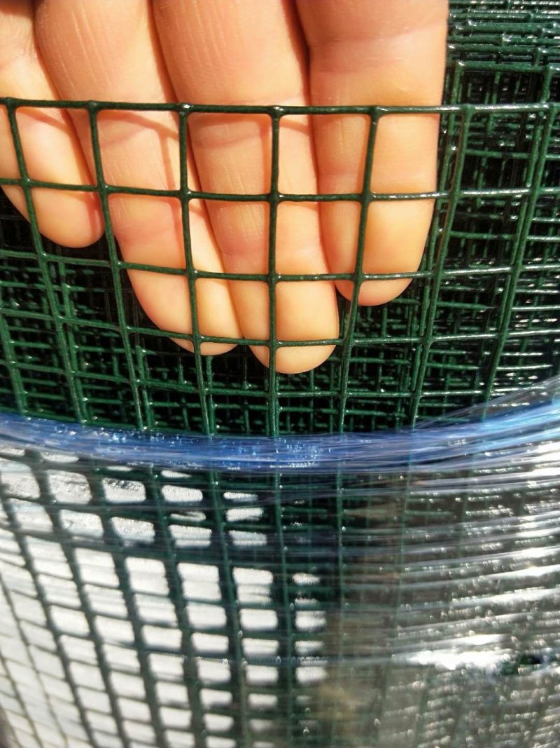 养殖网小鸡养殖围栏用网
