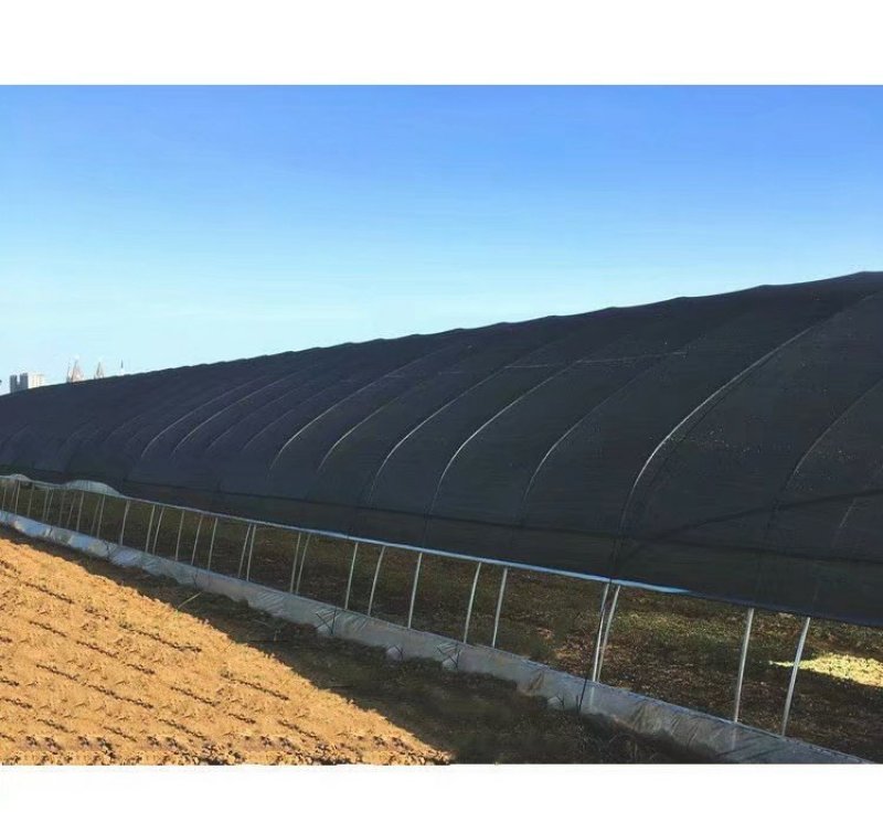 厂家直销全新料抗老化遮阳网遮阴网防晒网防晒隔热遮光耐用型