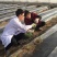 全新料黑白地膜，黑白相间地膜厂价直销，量大优惠种植农膜
