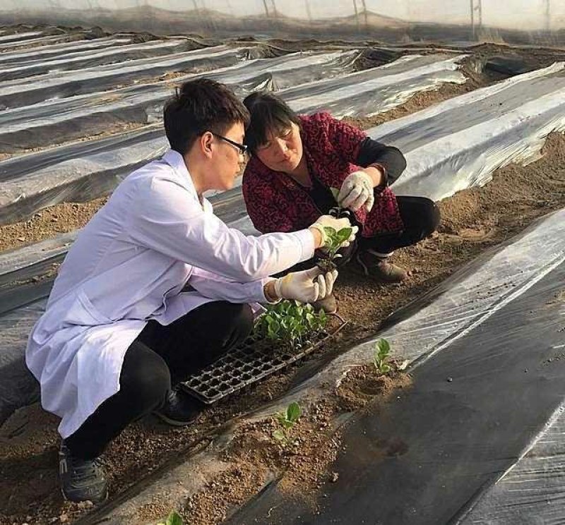 全新料黑白地膜，黑白相间地膜厂价直销，量大优惠种植农膜