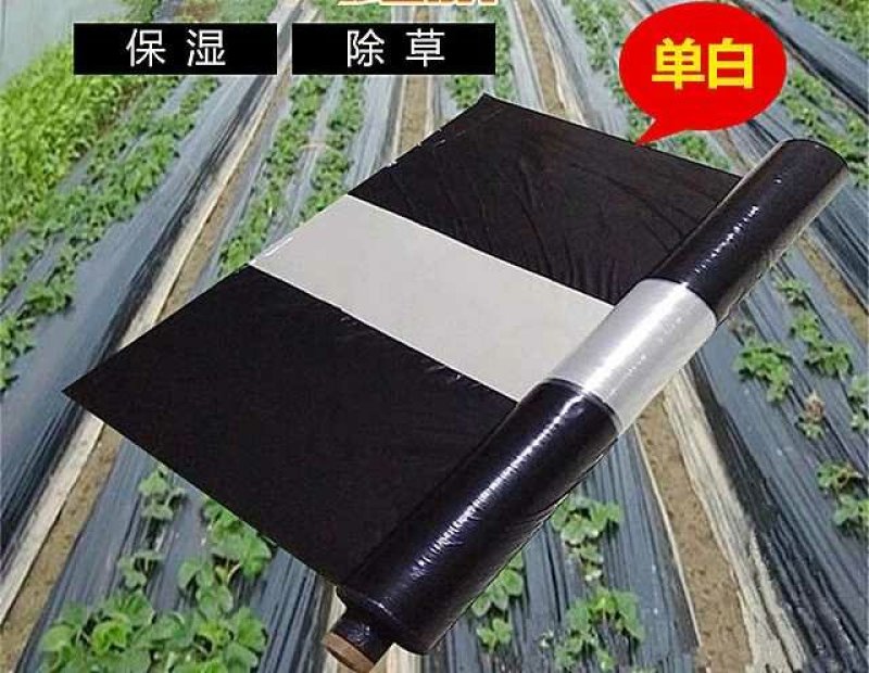 全新料黑白地膜，黑白相间地膜厂价直销，量大优惠种植农膜
