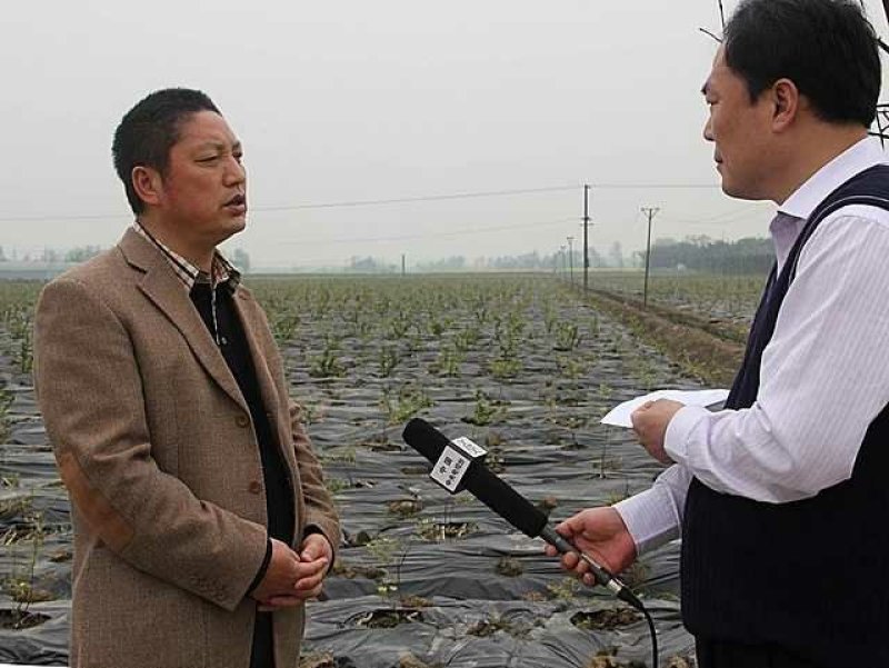 全新料黑白地膜，黑白相间地膜厂价直销，量大优惠种植农膜