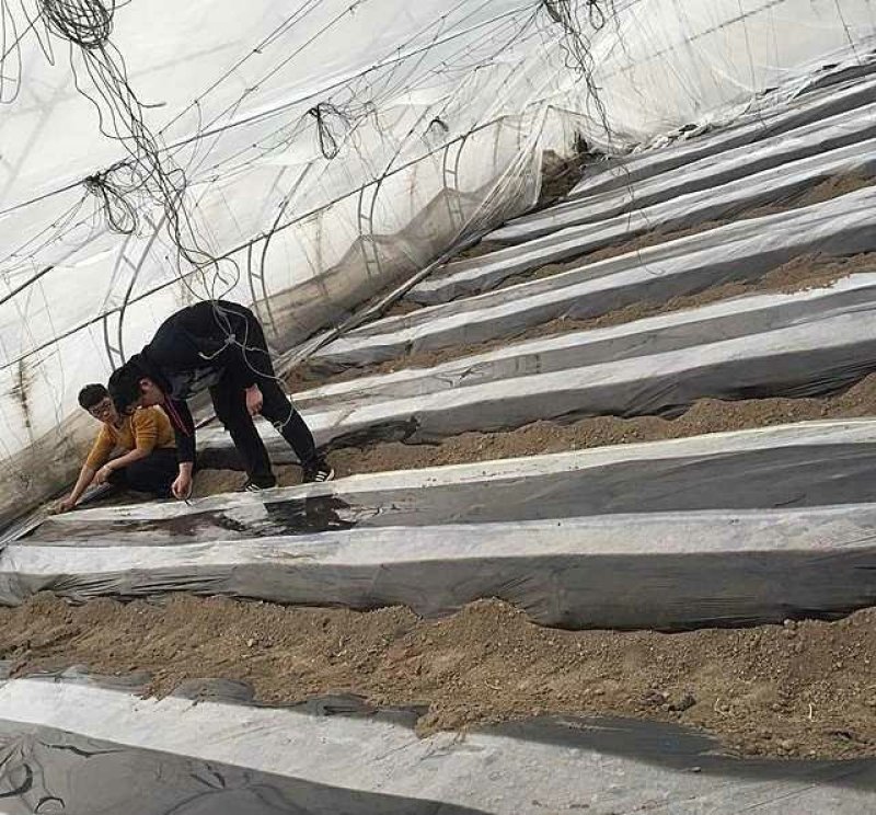 全新料黑白地膜，黑白相间地膜厂价直销，量大优惠种植农膜