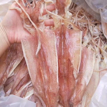 湛江硇洲天然尤鱼干
