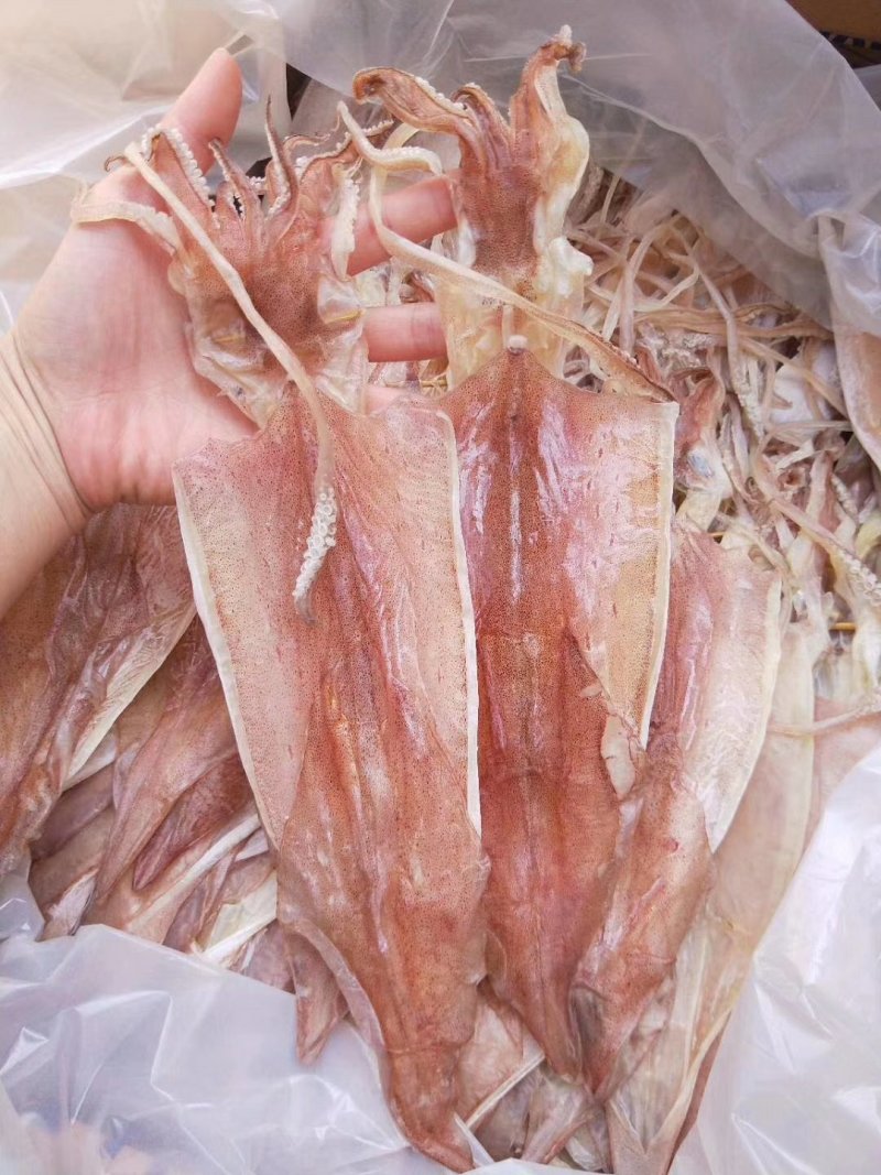 湛江硇洲天然尤鱼干
