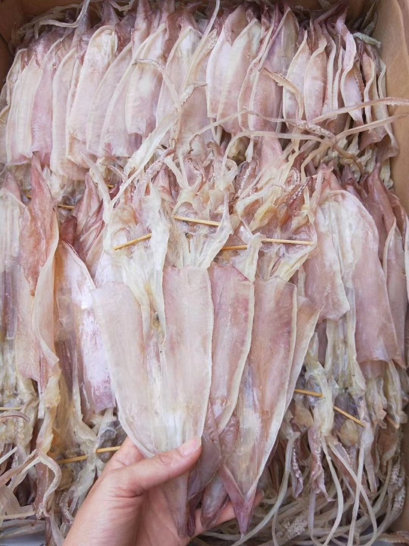湛江硇洲天然尤鱼干