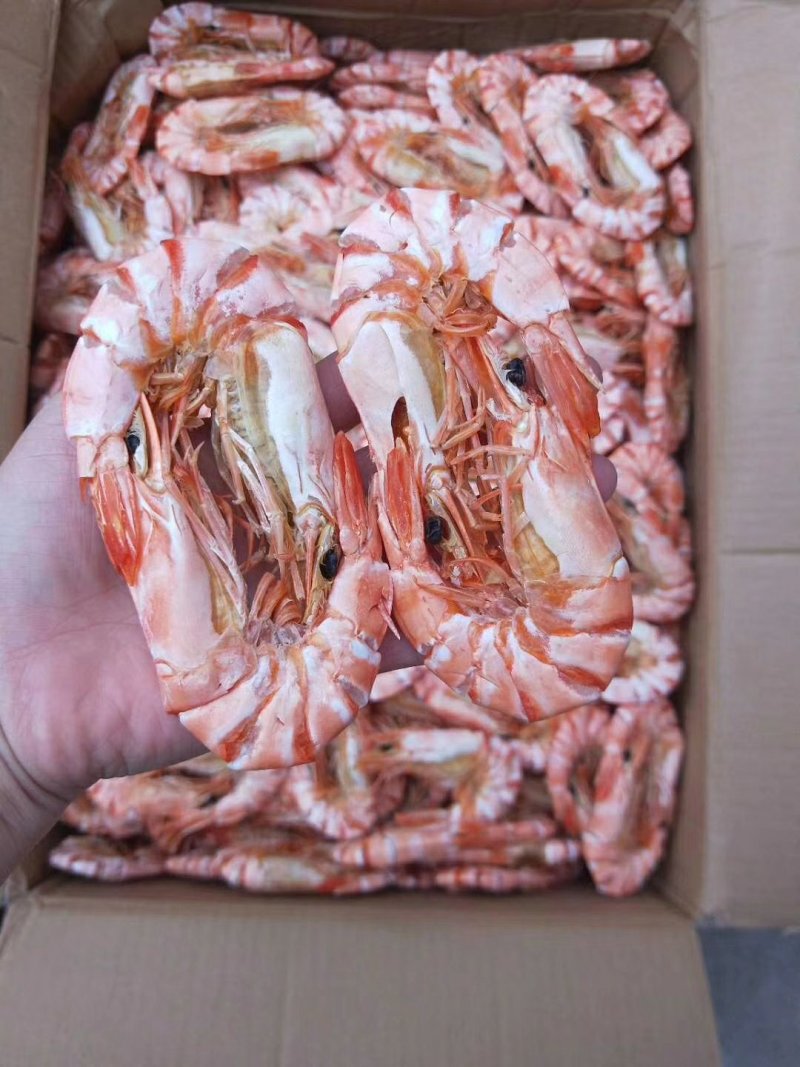 湛江硇洲天然虾干