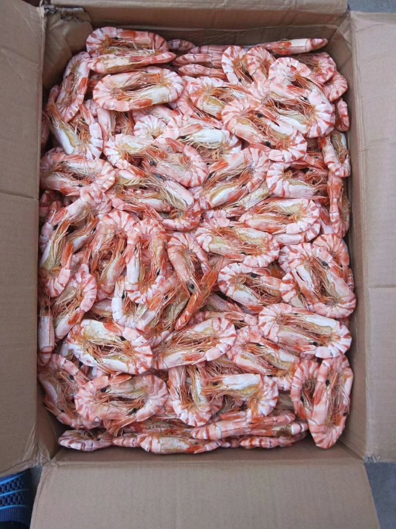 湛江硇洲天然虾干