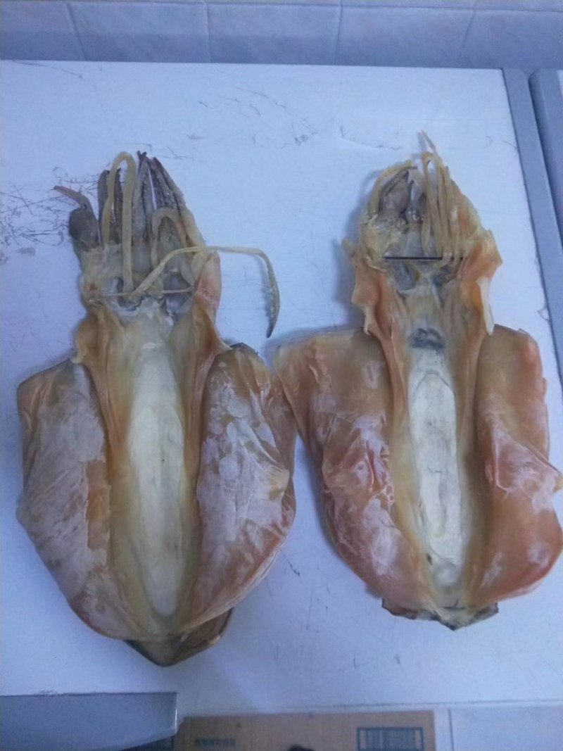 湛江硇洲天然墨鱼干