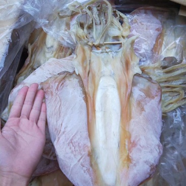湛江硇洲天然墨鱼干