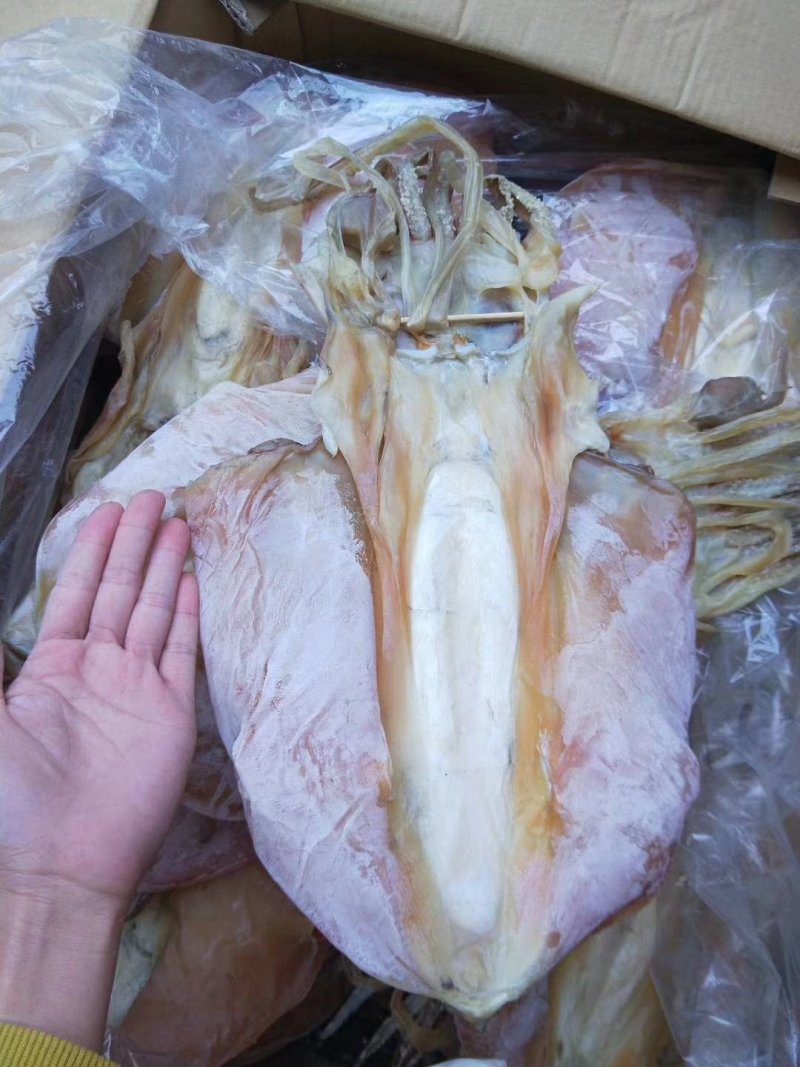 湛江硇洲天然墨鱼干