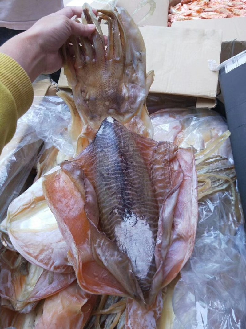 湛江硇洲天然墨鱼干