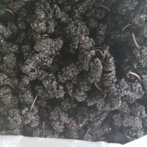 桑葚