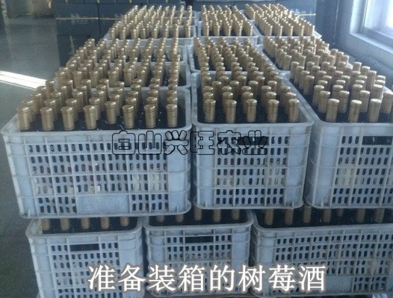 11度750毫升红树莓红酒红酒批发厂家直销