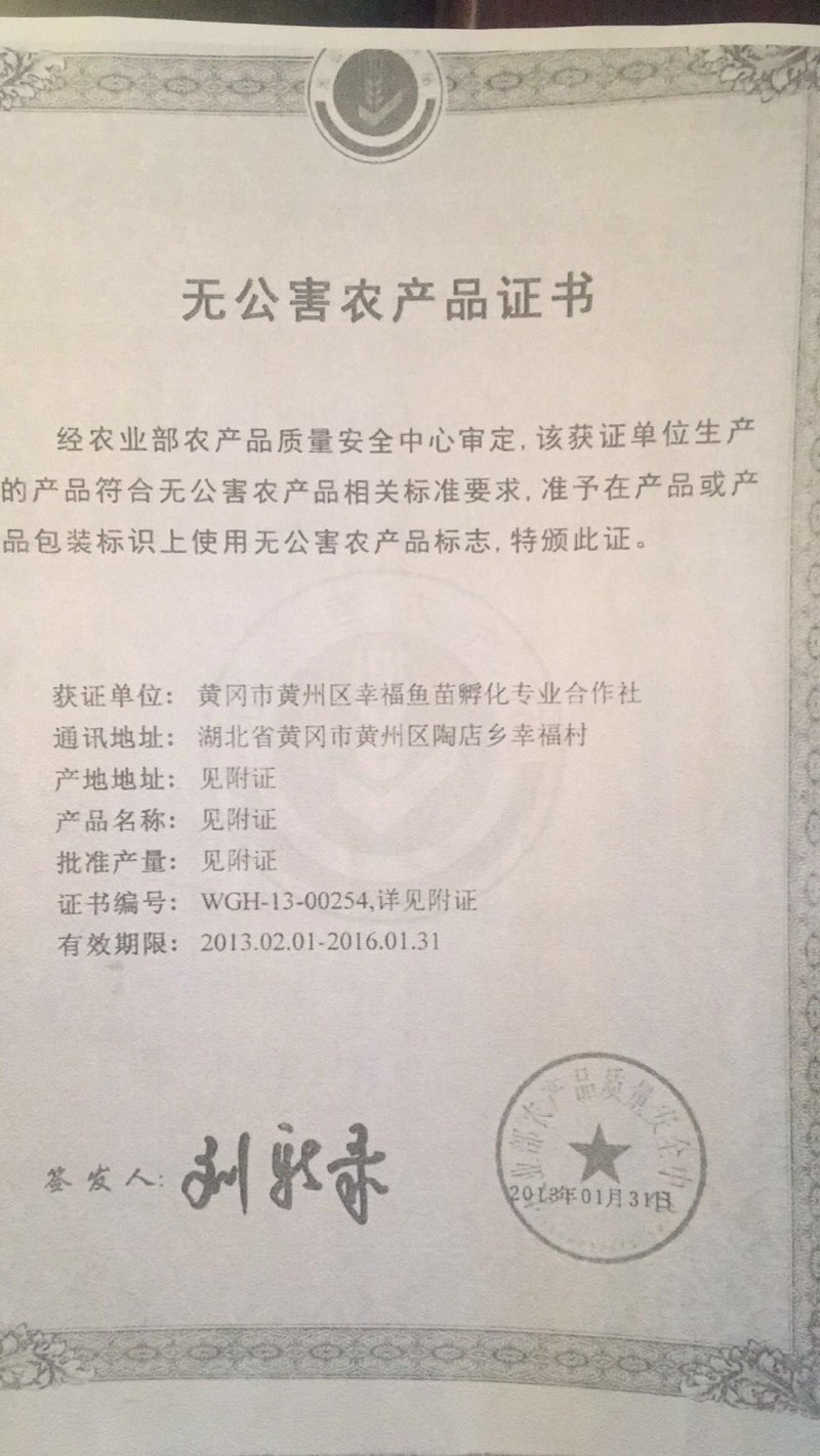 官方认证鲤鱼，质量好，数量足。量大从优，欢迎咨询