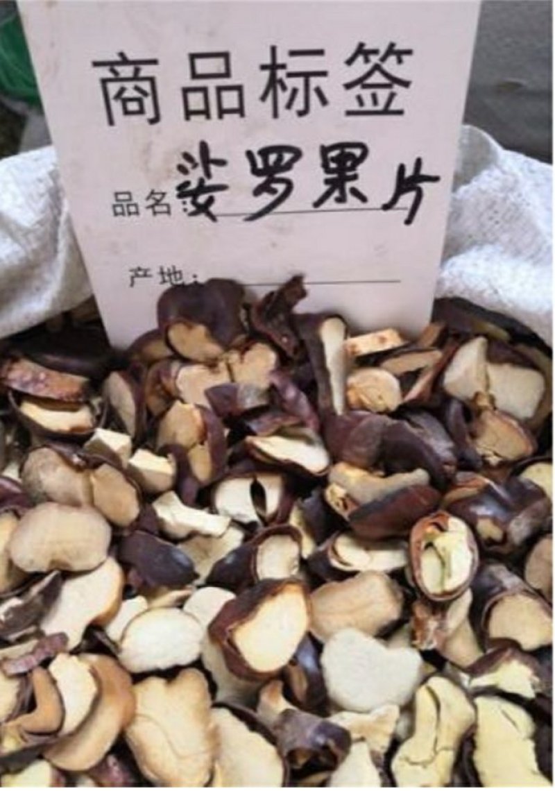 野生正品娑罗子个娑萝子保含量不满意可以退换货