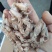 自家渔船出新货渤海湾海兔子
