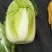 黄心白菜