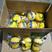 批发零售双胞胎黄柠檬两个安岳柠檬大量供应产地发货快递物流