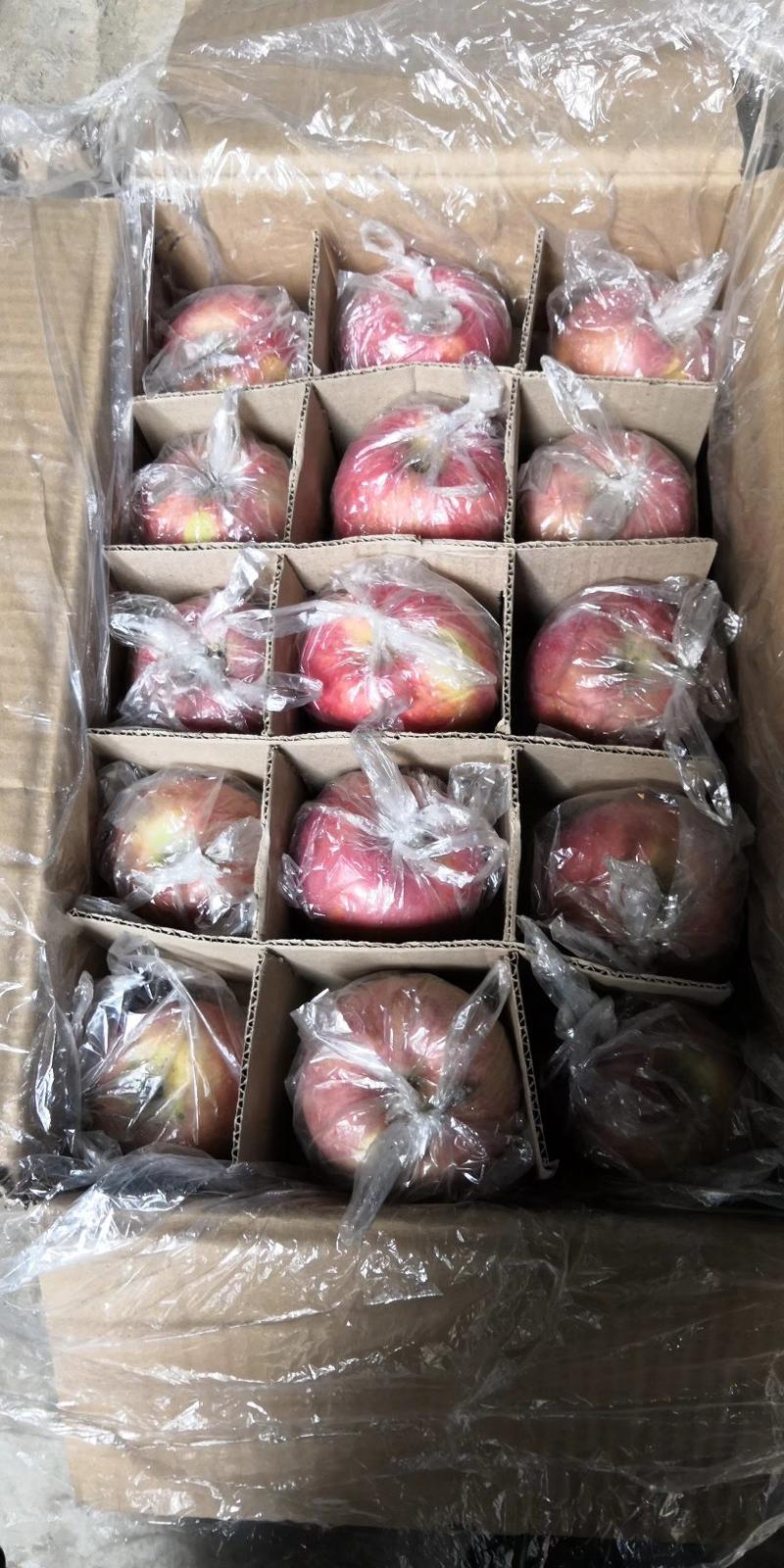 出售红富士苹果，膜袋富士，纸夹膜红富士。