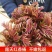 现货香椿芽露天头茬寺头红香椿头叶苗香春芽新鲜蔬菜