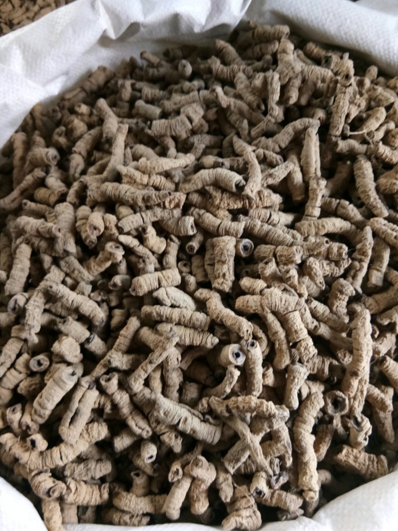 巴戟肉野生无硫熏规格齐全干净无杂中药材一公斤起