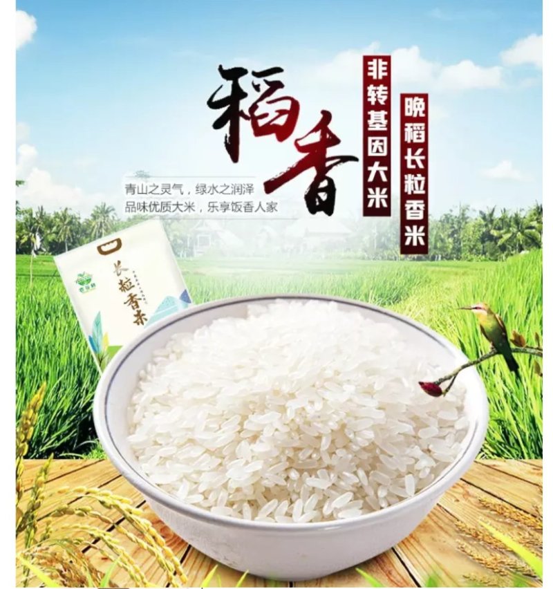 批发(包邮)49元/10斤长粒香米