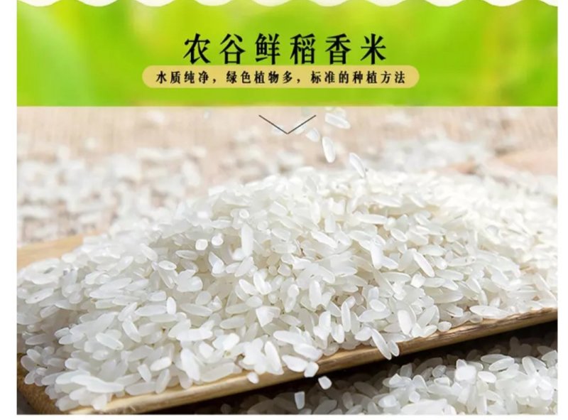 批发(包邮)49元/10斤长粒香米