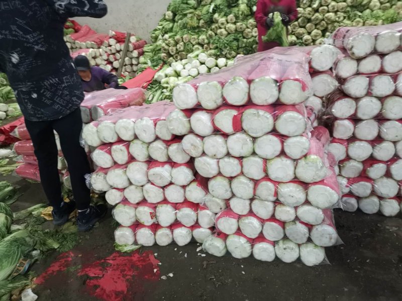 北京三号白菜大量供应中，各种包装各种标准