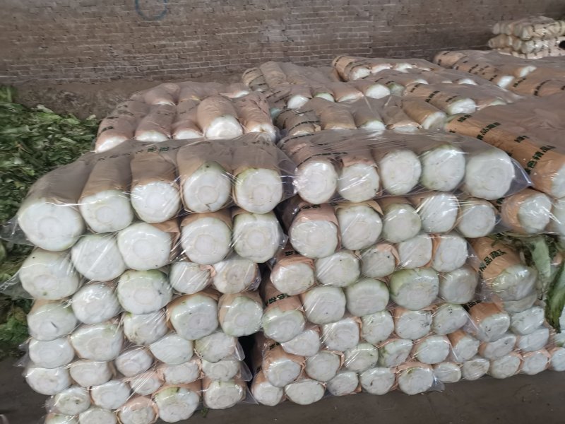 北京三号白菜大量供应中，各种包装各种标准
