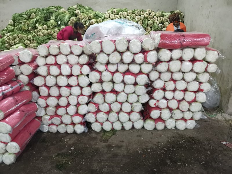 北京三号白菜大量供应中，各种包装各种标准