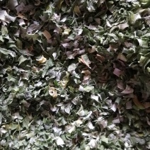 脱水香葱