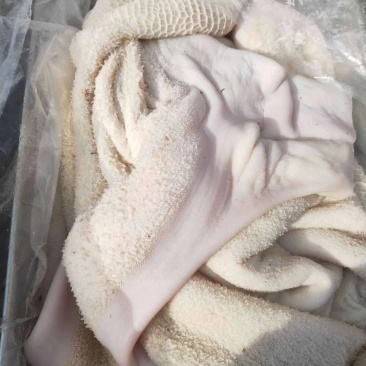 半成品牛肚！出成率高，里外干净，货真价实诚信经营！