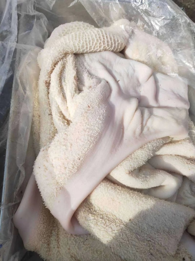 半成品牛肚！出成率高，里外干净，货真价实诚信经营！