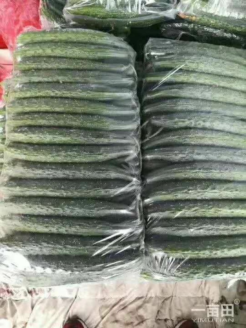油亮黄瓜大量上市，