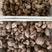 808鲜香菇，花菇，菇头，小精光，菜菇