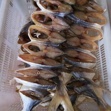 湛江硇洲天然金昌鱼干