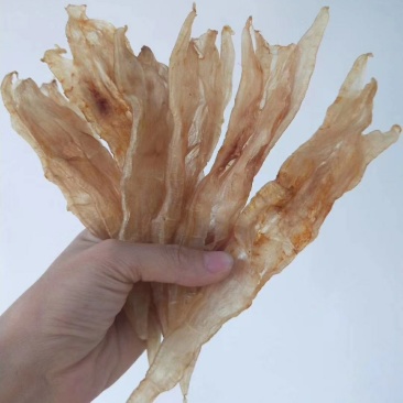 花胶