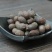 葵树子蒲葵子葵扇子无硫净货保正品批发零售冷背中药材