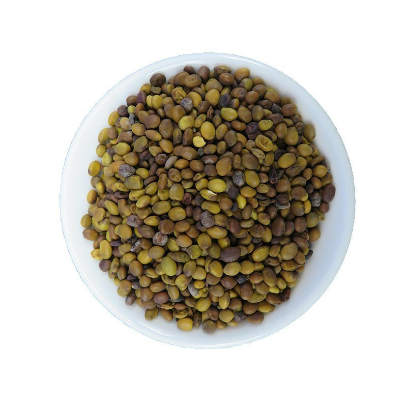 苦豆子苦马豆选装无硫新货无杂质批发零售冷背中药材