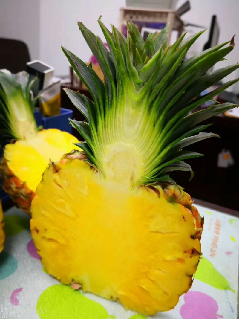 海南正宗菠萝