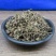 双肾草婆婆纳狗卵草双珠草无硫净货保正品批发零售冷背中药材